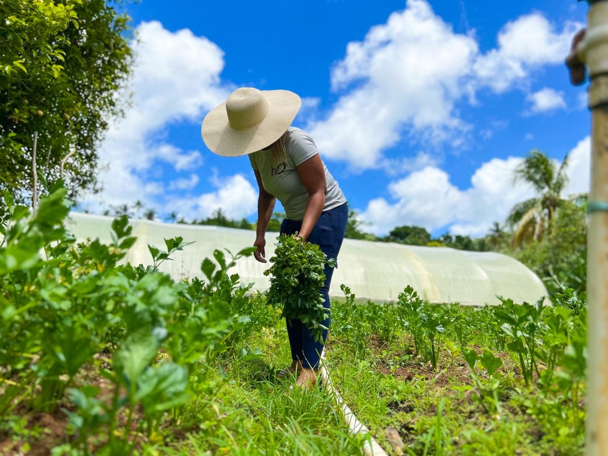 Op-Ed: African Women Across The Diaspora Are The Climate Experts You’ve Been Overlooking
