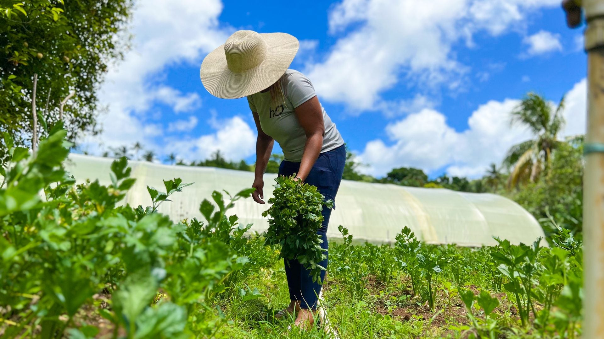 Op-Ed: African Women Across The Diaspora Are The Climate Experts You’ve Been Overlooking