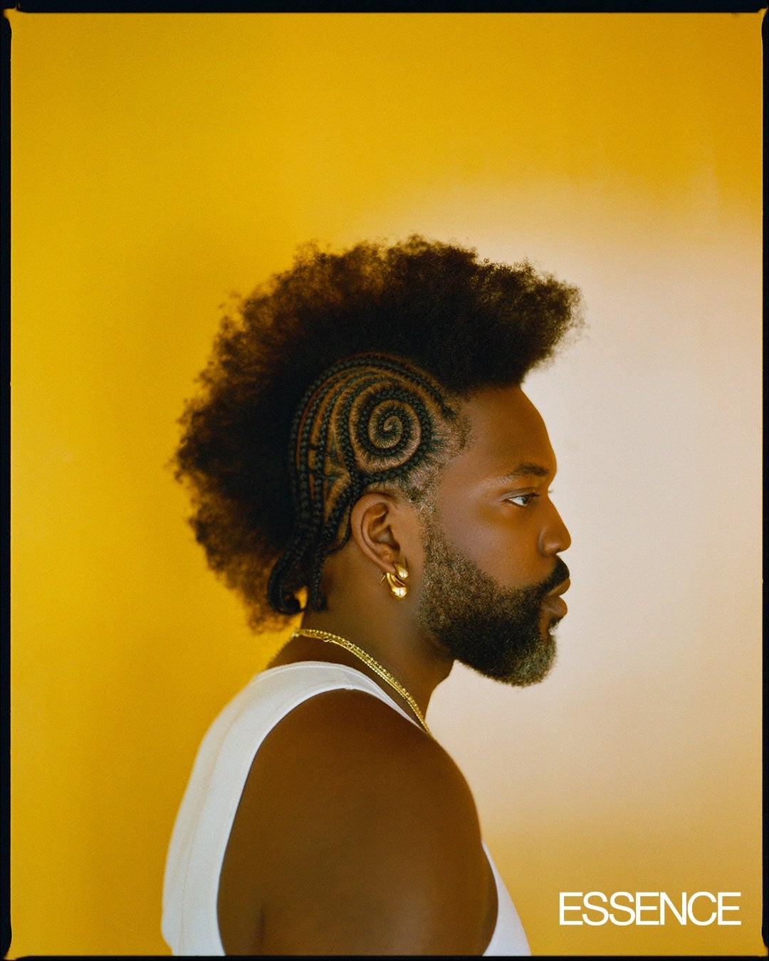 4C Files: From Fear to Freedom