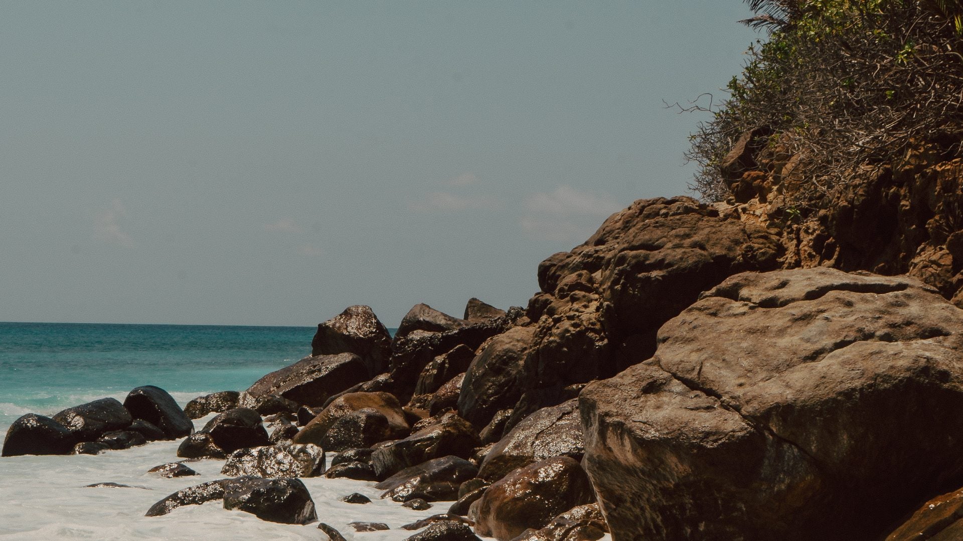 From The Homeland To The Motherland: A Beauty Pilgrimage With The Coco de Mer