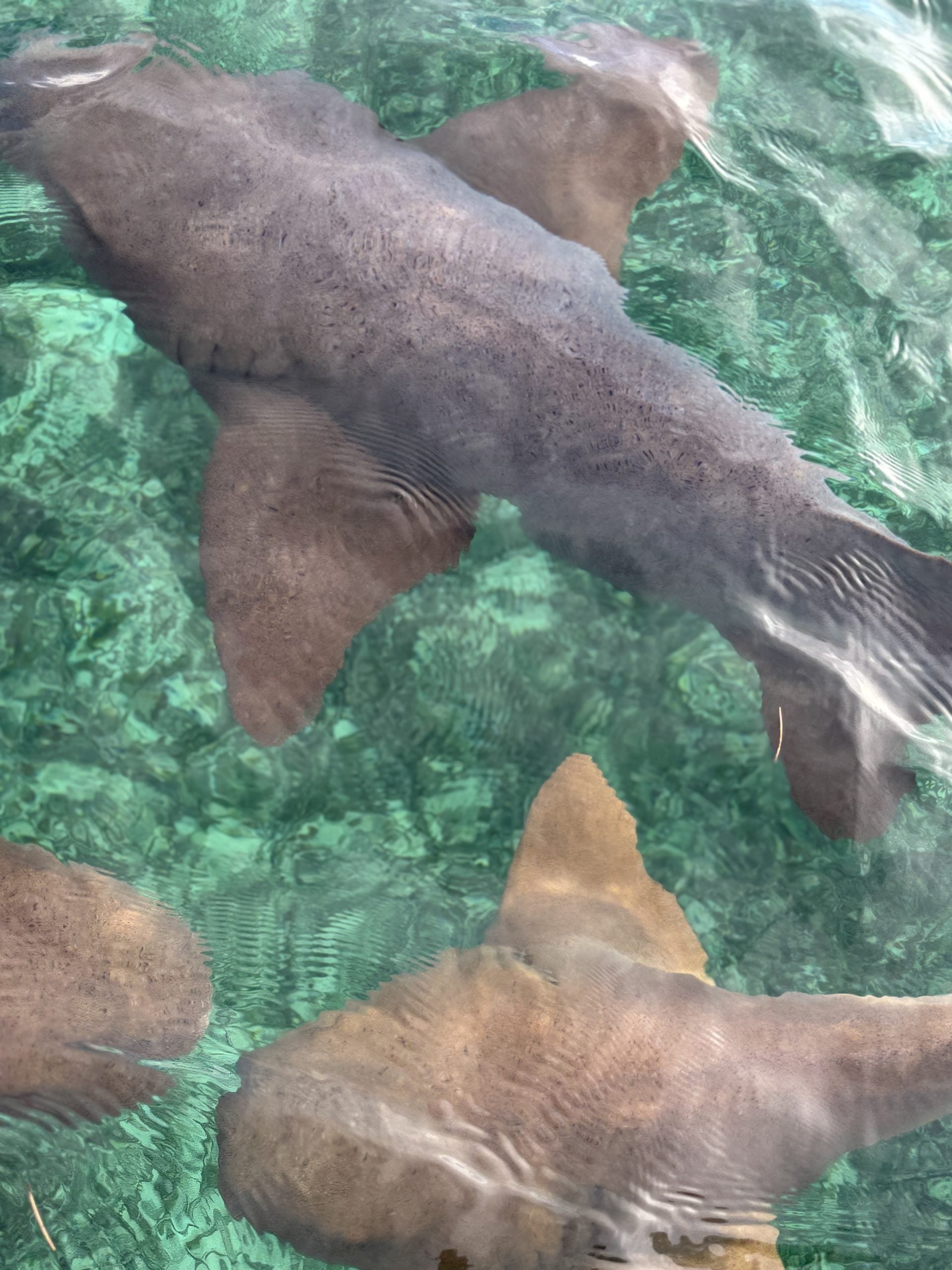 Why Belize Should Be Every Black Woman’s Next Escape