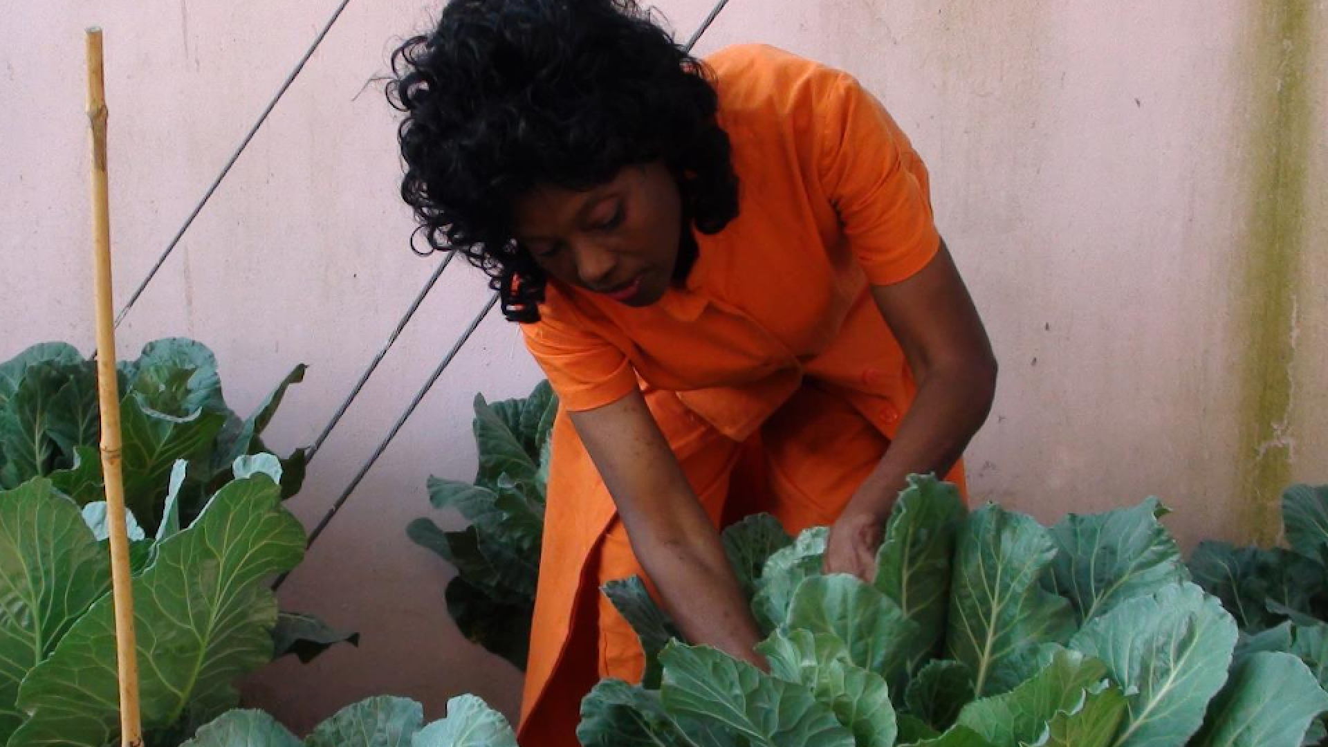 This Is What Longevity Looks Like: Black Women Who Make Agelessness Seem Effortless