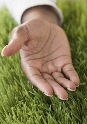 african-american-womans-hand-in-grass.jpg